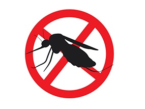 Dengue. Informacin importante